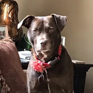 Meet your Posher, Cathy